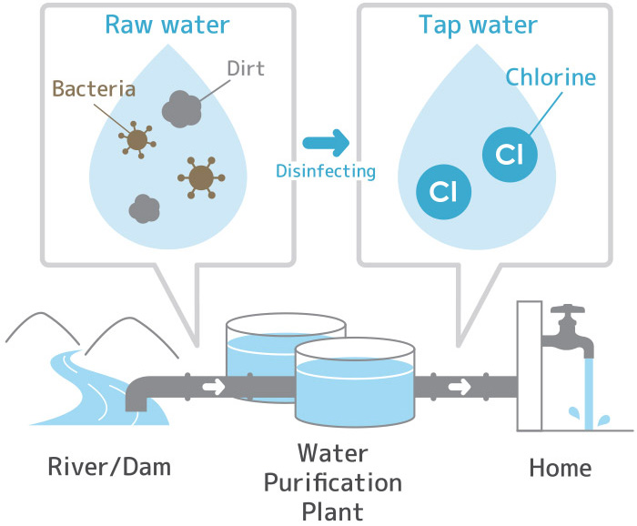 Chlorine removal